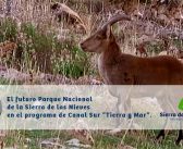 Vídeo íntegro del reportaje del programa “Tierra y Mar” de Canal Sur Televisión dedicado a la Sierra de las Nieves.