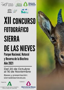 XII Concurso Fotográfico Parque Nacional, Natural y Reserva de la Biosfera Sierra de las Nieves. Año 2021