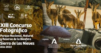 Cartel XIII Concurso Fotográfico Sierra de las Nieves 2022