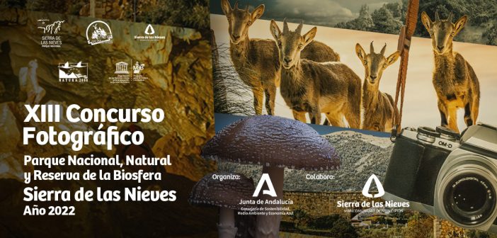Cartel XIII Concurso Fotográfico Sierra de las Nieves 2022