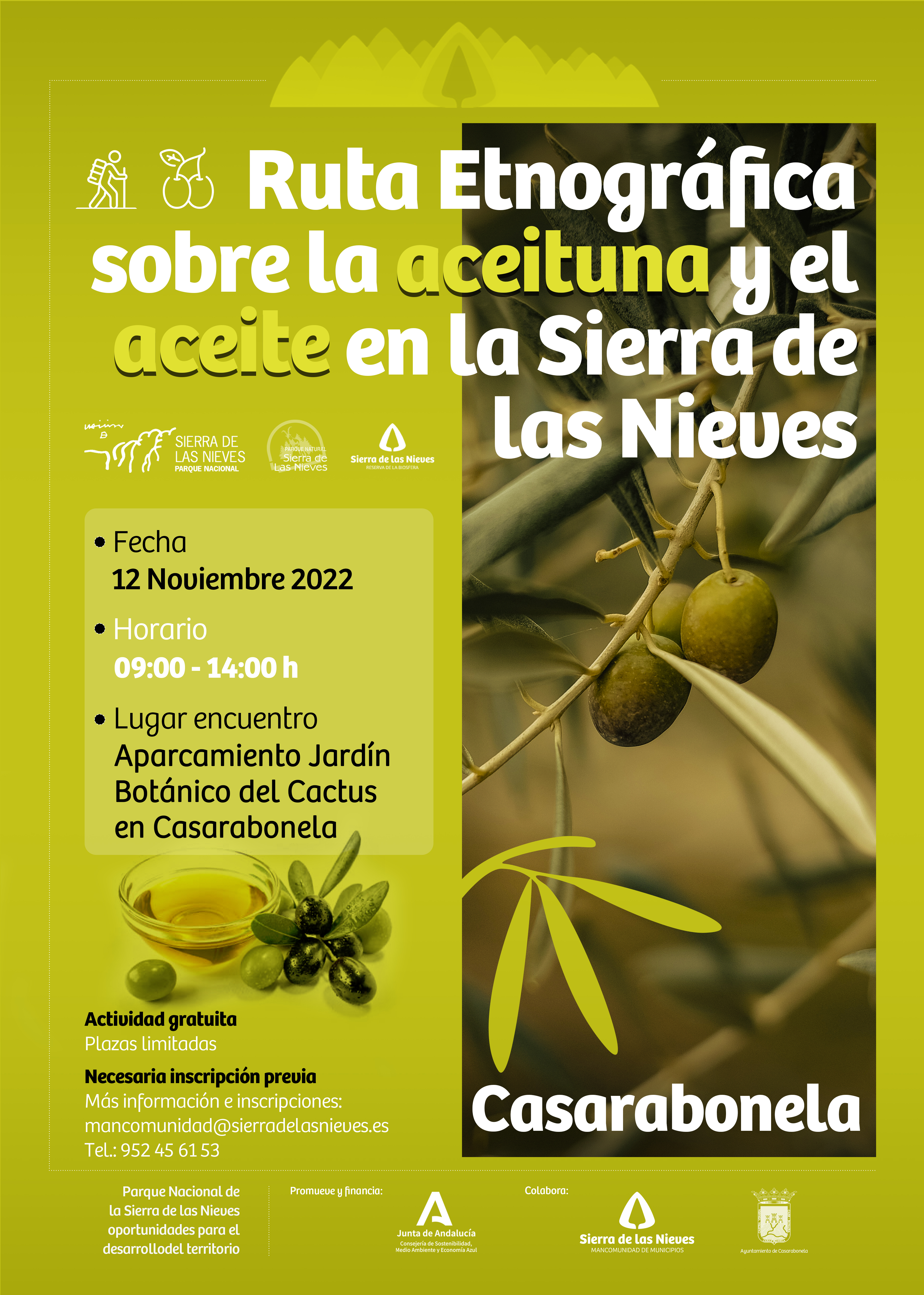Ruta Etnográfica sobre la aceituna y el aceite en la Sierra de las Nieves - Fecha 12 de Noviembre 2022 - Lugar de encuentro: Aparcamiento Jardín Botánico del Cactus Casarabonela.